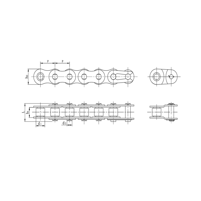 Precizni valjkasti lanci od nehrđajućeg čelika kratkog koraka
